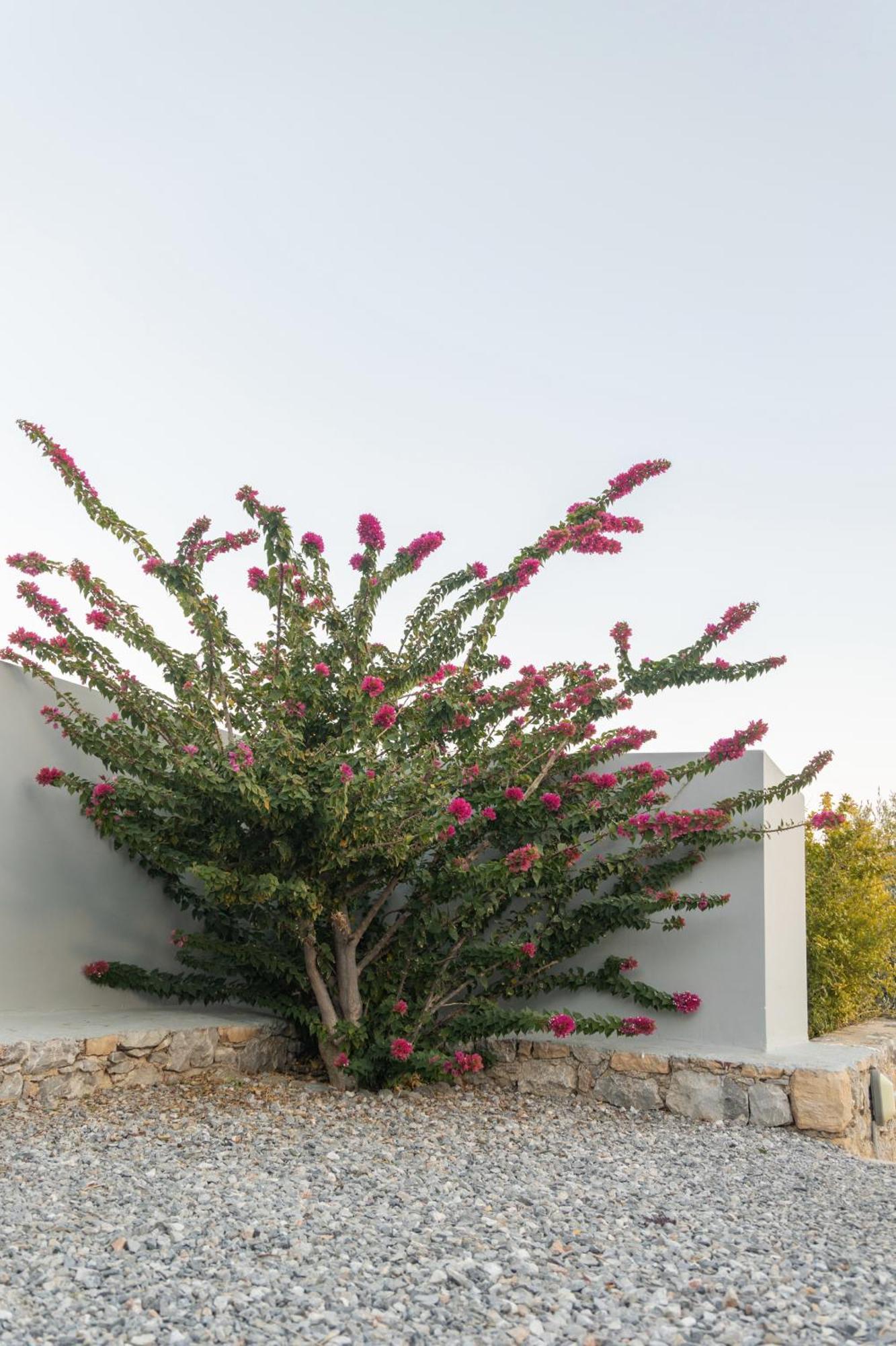Evgoro Luxury Suites Agia Galini Esterno foto